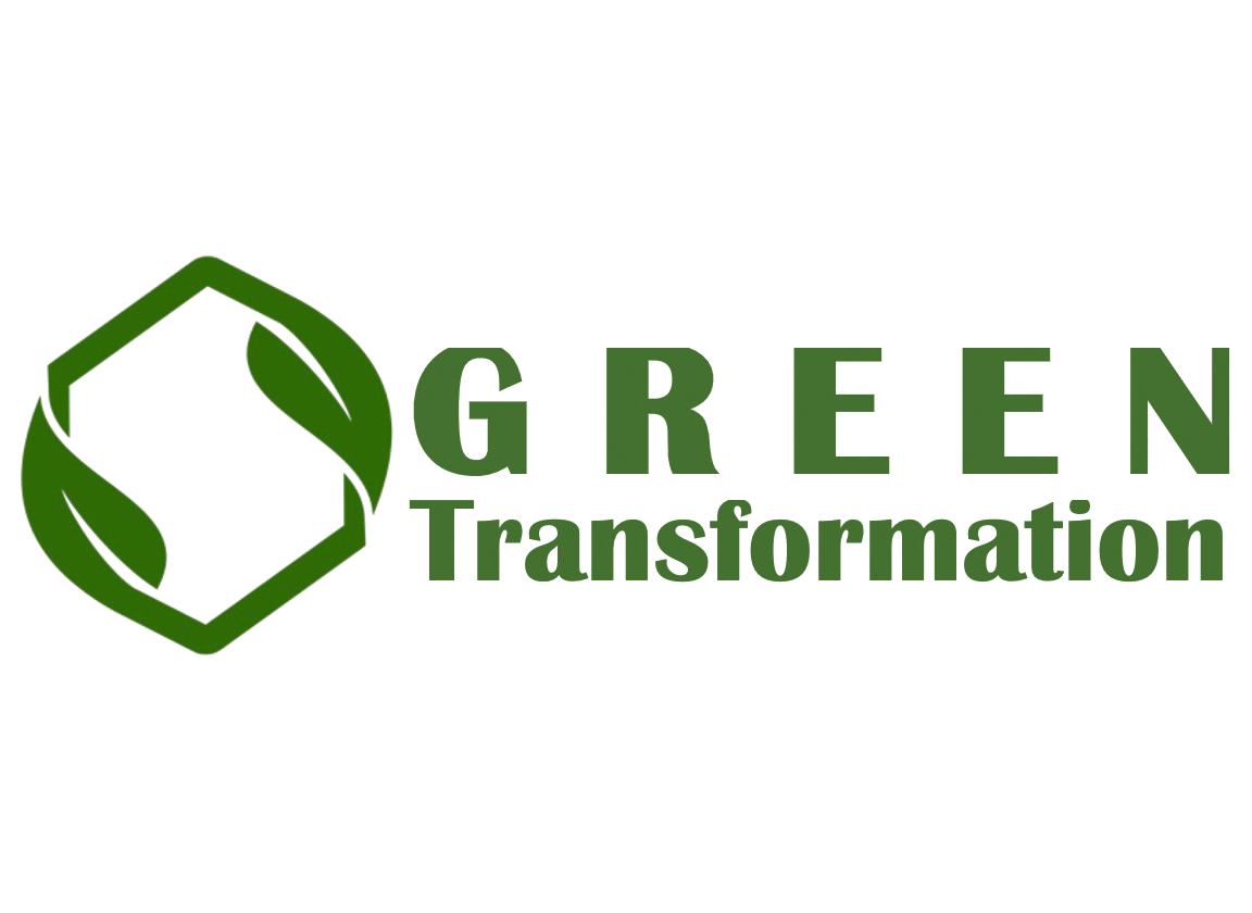 Green transformation in the digital transformation context